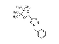 1-苯甲基-4-（4，4，5，5-四甲基-1，3，2-二氧硼戊環-2-基）吡唑，96%（GC） 